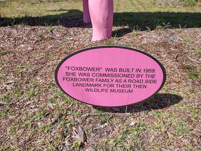 Spring Hill Pink Dinosaur photo 2