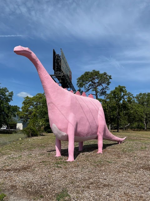Photo of Spring Hill Pink Dinosaur