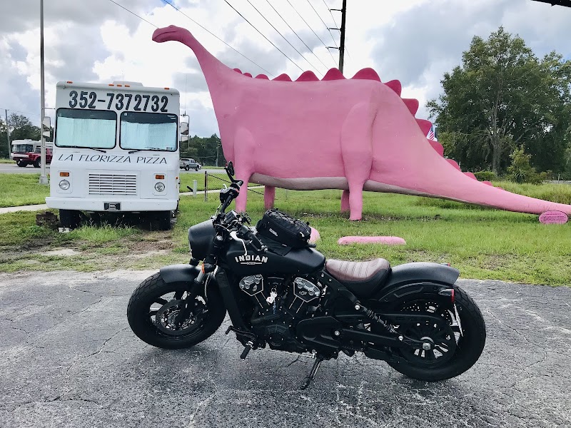 Spring Hill Pink Dinosaur photo 5