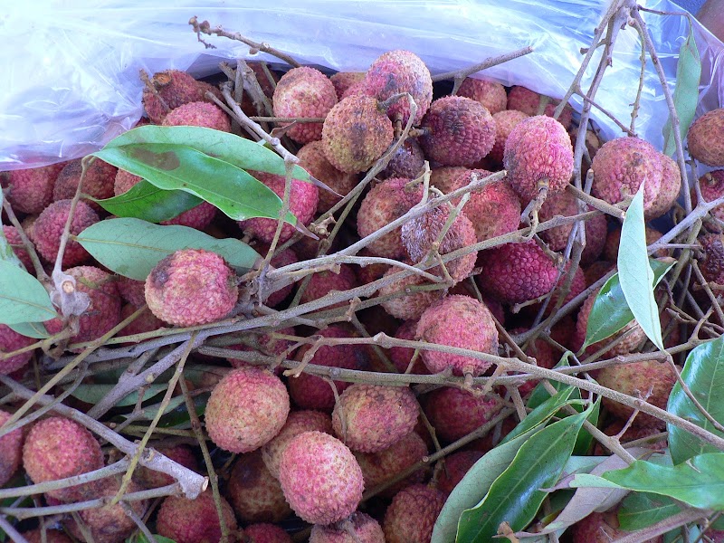 Farmers Market photo 2