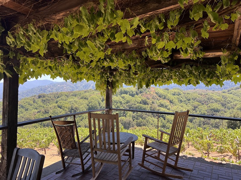 Mount Eden Vineyards photo 2