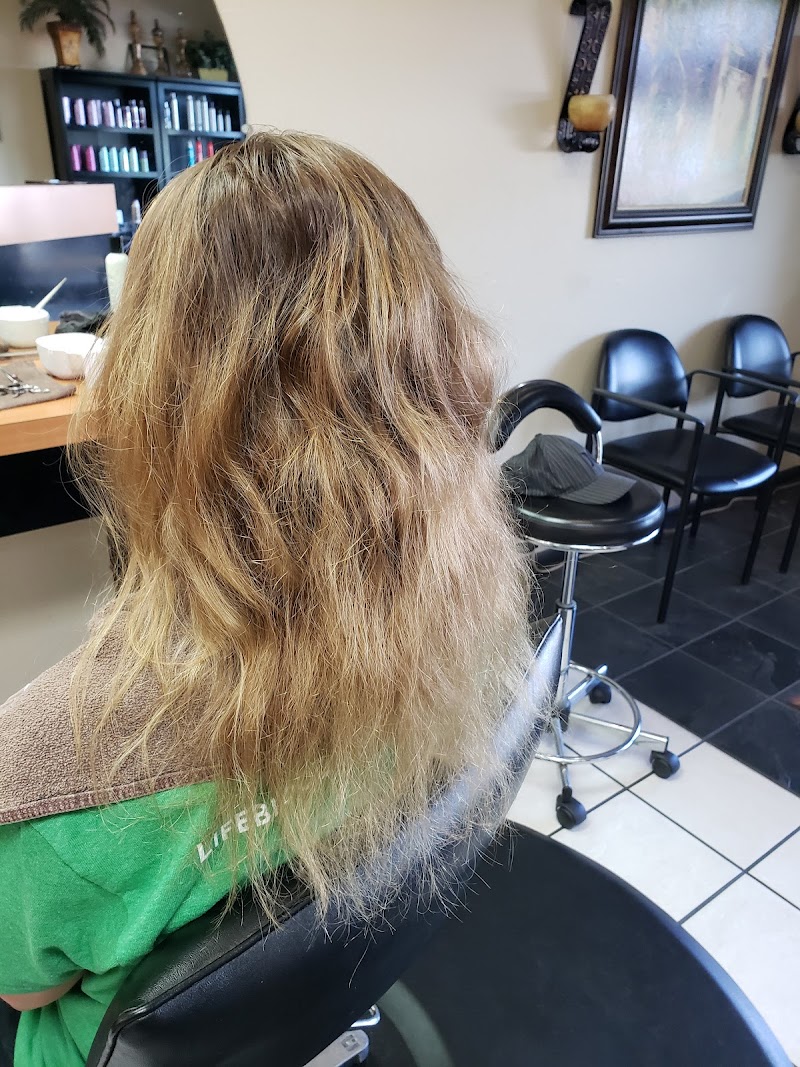 Ovation Professional Salon photo 3