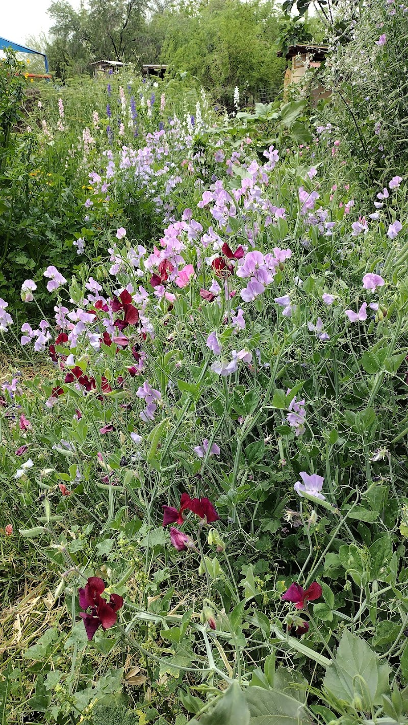 Nuestra Tierra Garden photo 5