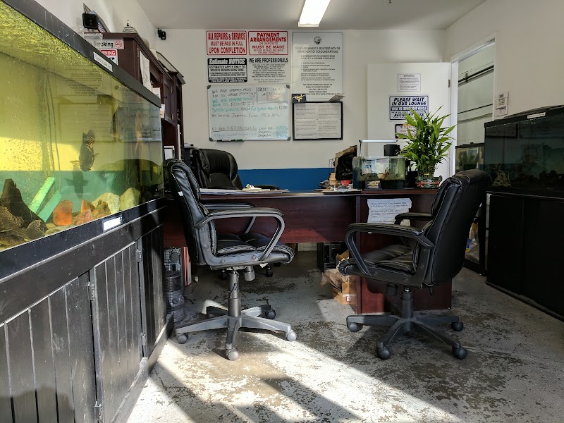 Elite Auto Service & Repair photo 3