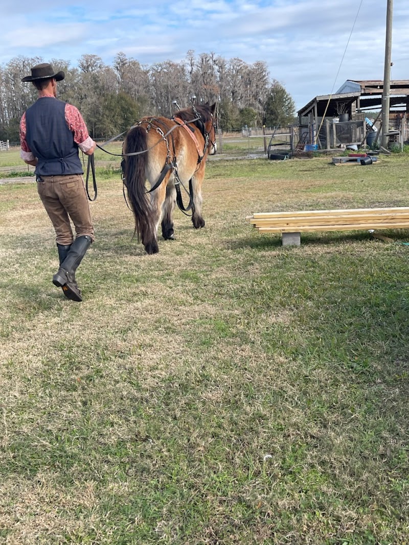 Leaning Tree ranch photo 5