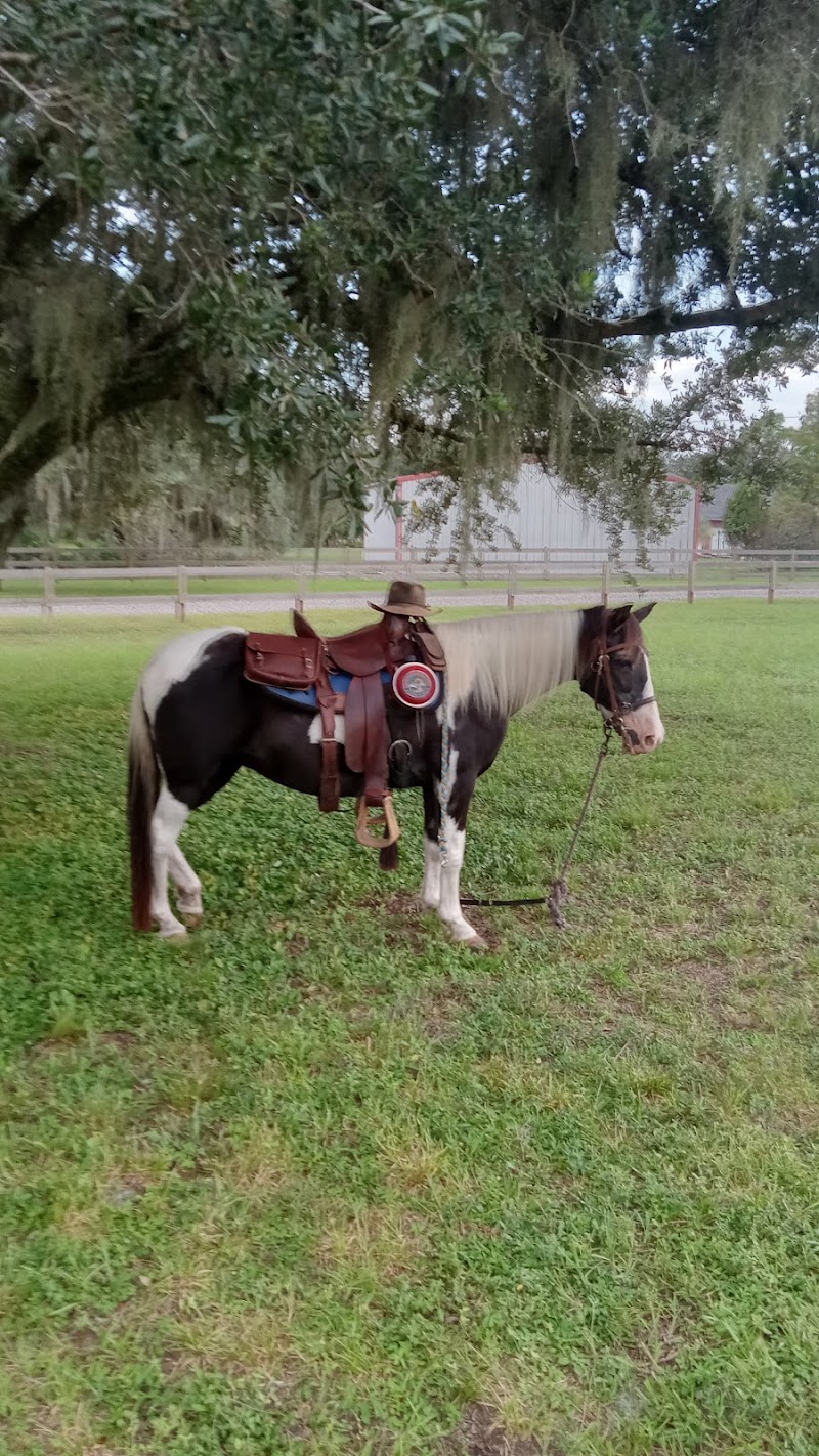 Leaning Tree ranch photo 2