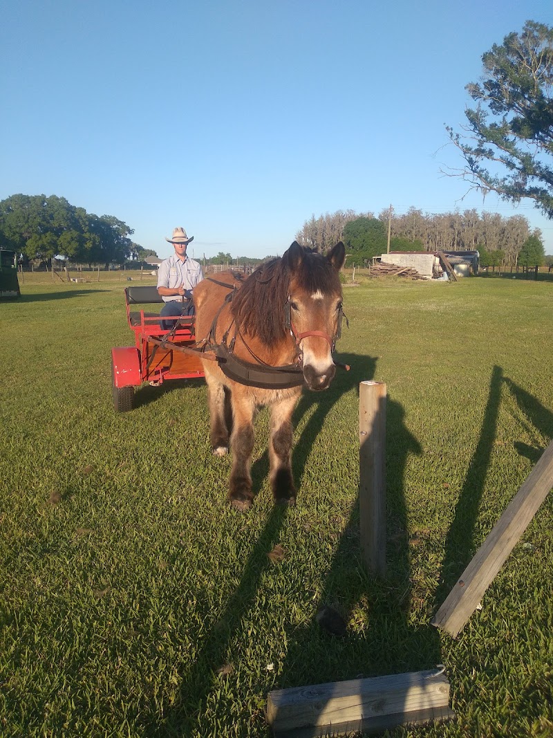 Leaning Tree ranch photo 3