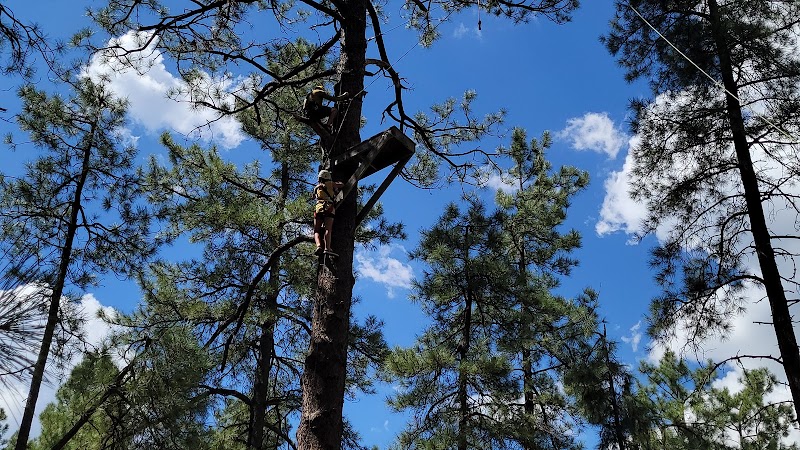 Friendly Pines Camp photo 4
