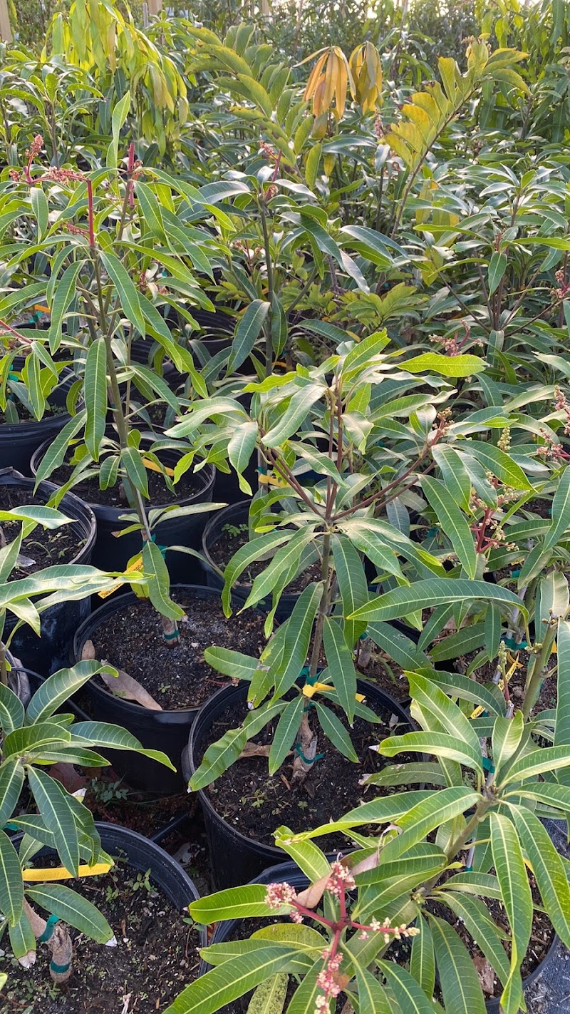 Photo of Tropical Place Nursery