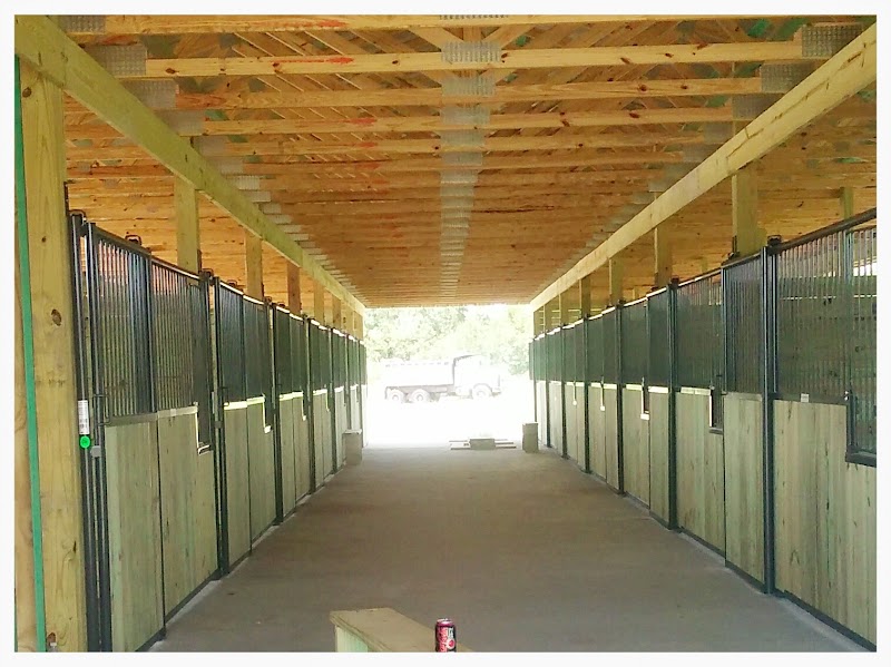 Gemini Performance Horses, LLC photo 2