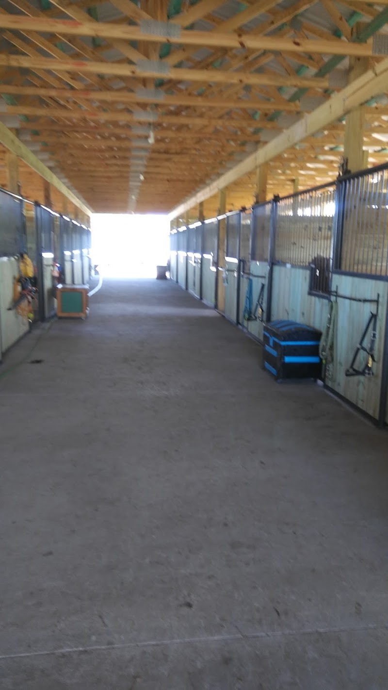 Photo of Gemini Performance Horses, LLC