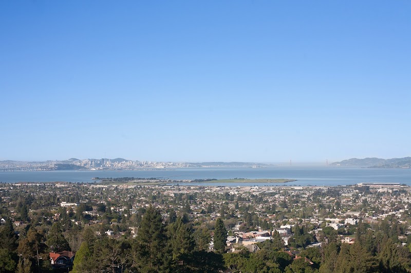 Ratoosh Real Estate photo 3