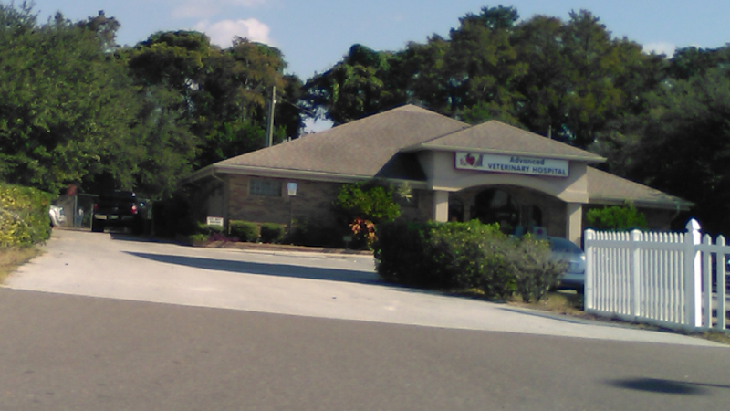 Advanced Veterinary Hospital photo 2