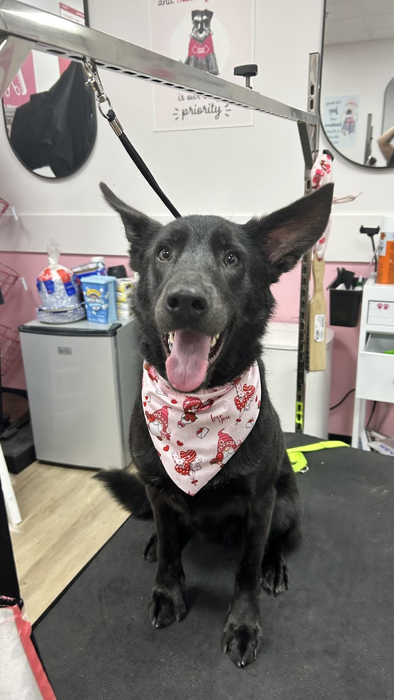 Woof Gang Bakery & Grooming Palo Alto photo 4