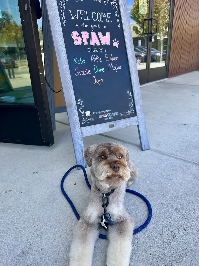 Woof Gang Bakery & Grooming Palo Alto