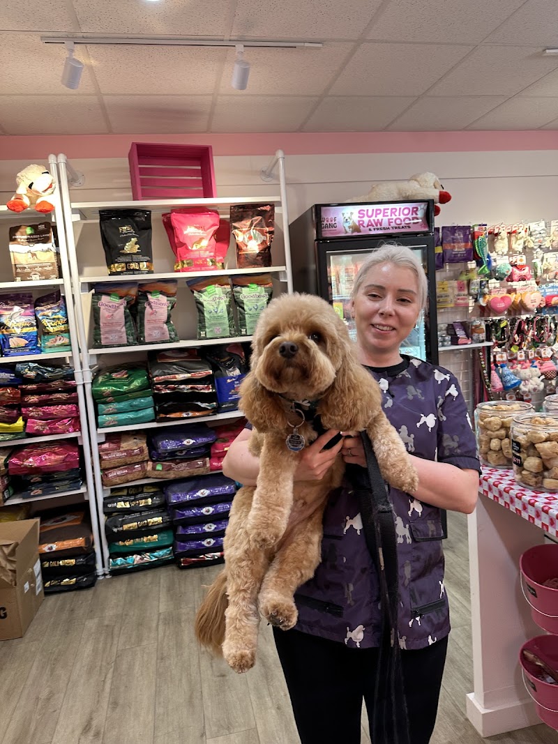 Woof Gang Bakery & Grooming Palo Alto photo 3