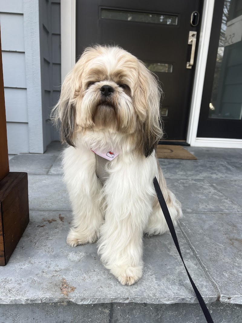 Woof Gang Bakery & Grooming Palo Alto photo 5