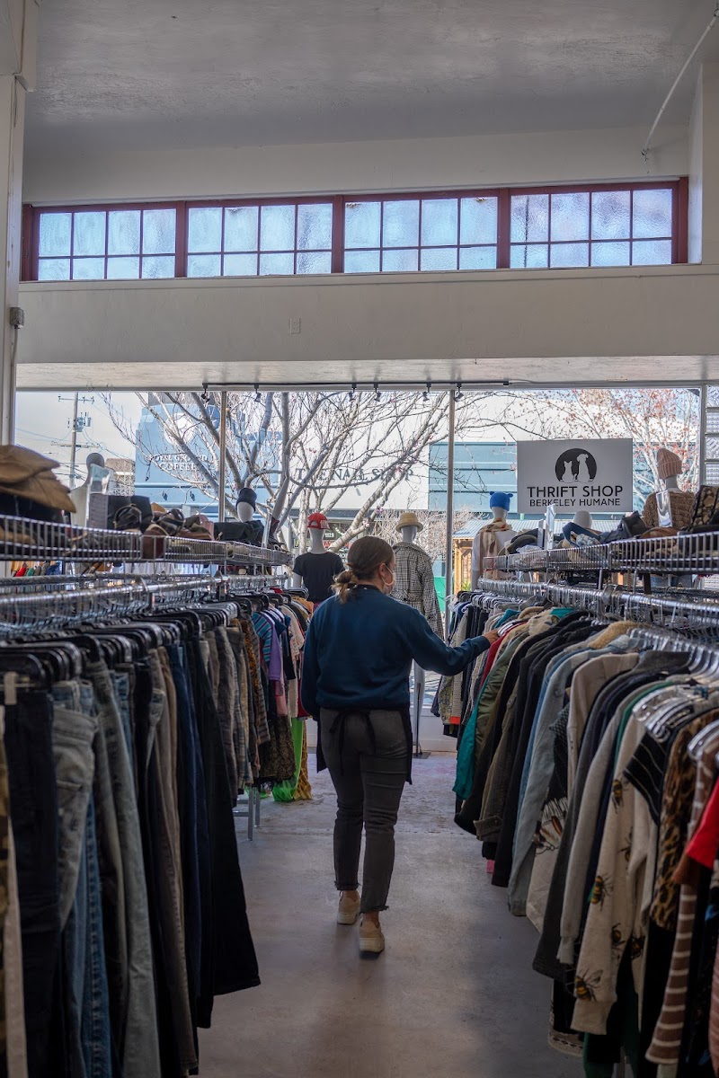 Thrift Shop supporting Berkeley Humane photo 2