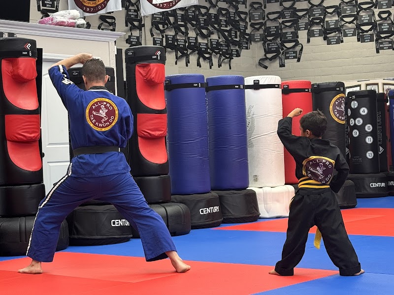 All-Pro Tae Kwon Do Academy photo 5