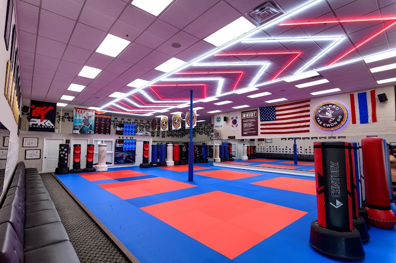 Photo of All-Pro Tae Kwon Do Academy