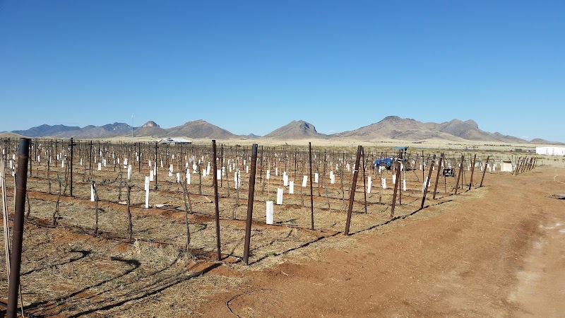 Flying Leap Vineyards & Distillery (Winery Estate - Elgin, AZ) photo 4