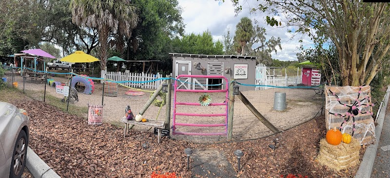 Photo of Lucky Lemon Farm