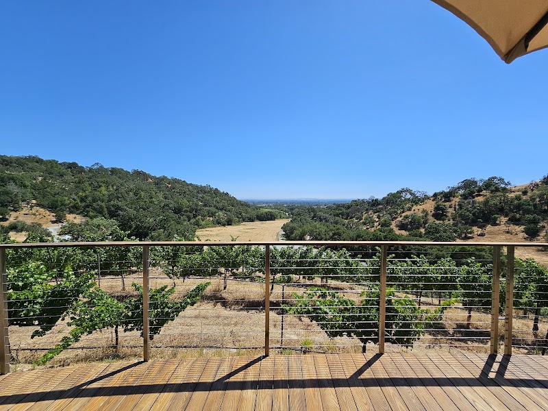 Notre Vue Estate Winery & Vineyards photo 4