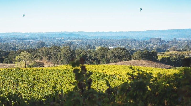 Notre Vue Estate Winery & Vineyards photo 3