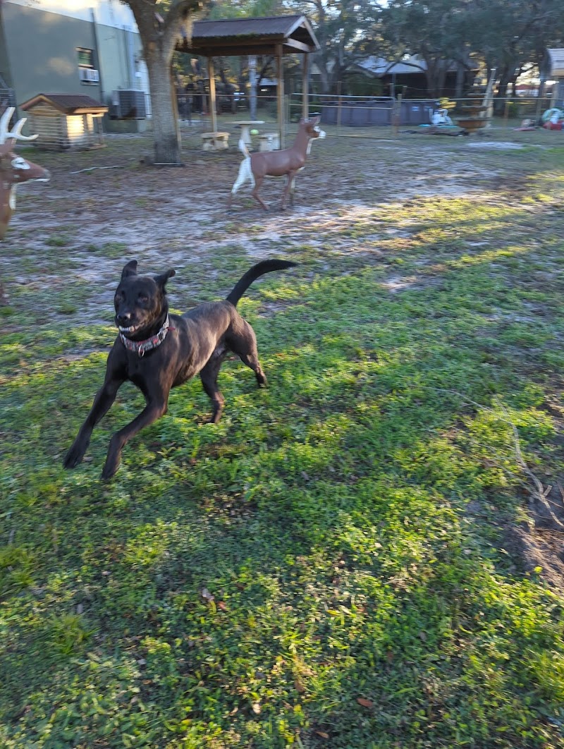 Shelley Parker Pet Resort photo 3