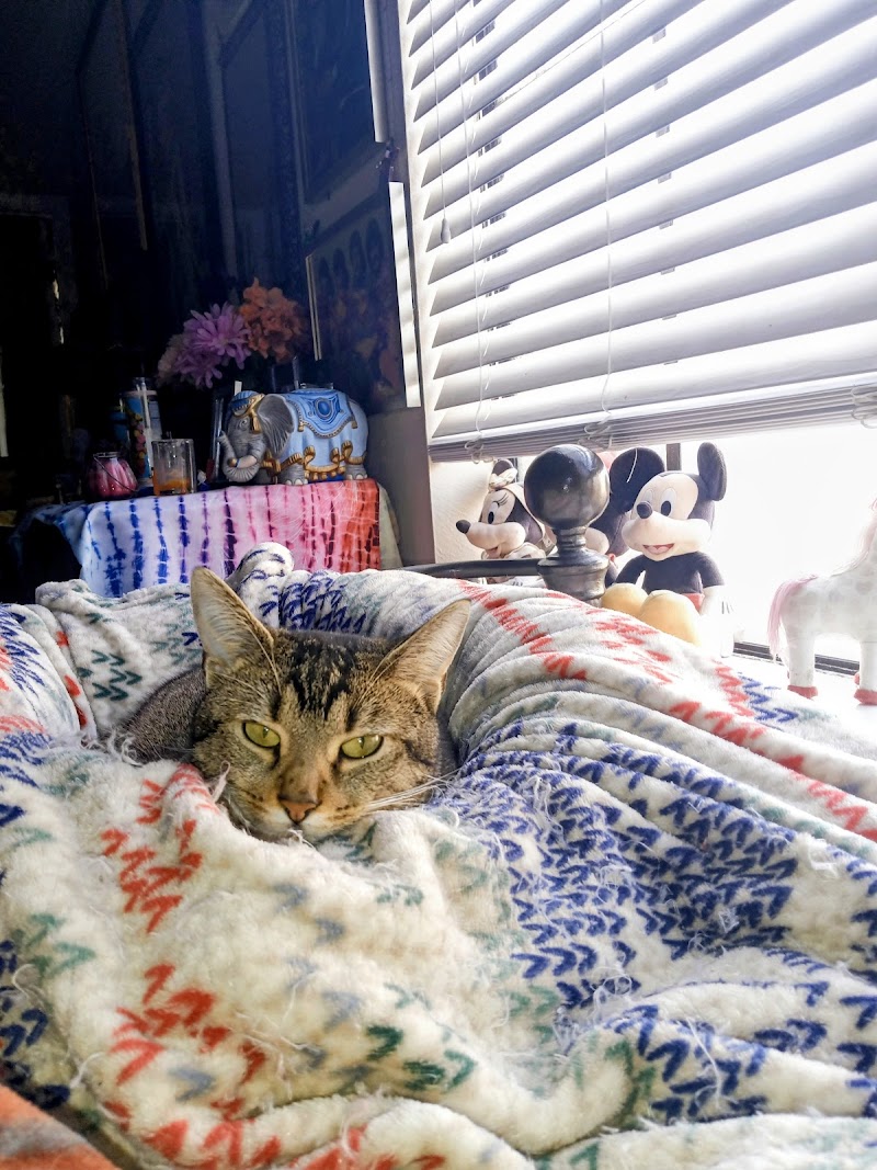 Humane Society of Sonoma County - Healdsburg photo 5