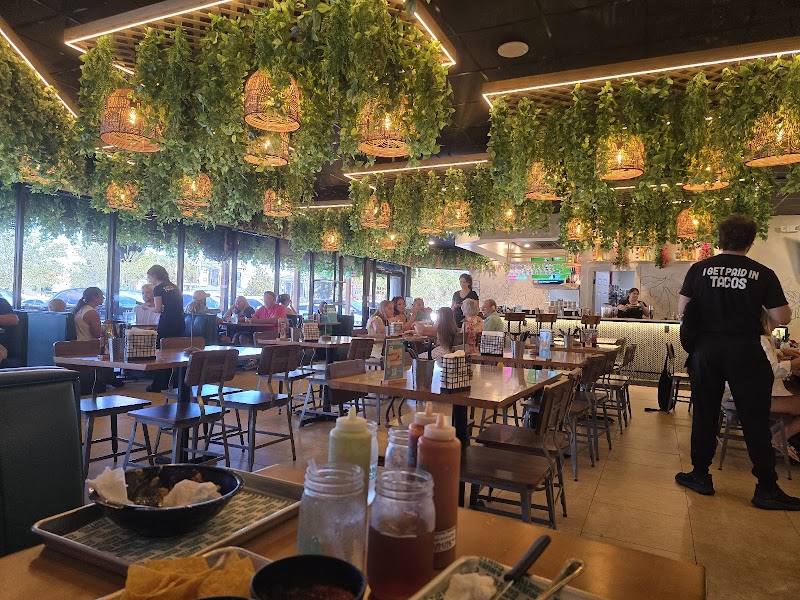 Nueva Cantina - Palm Harbor photo 2