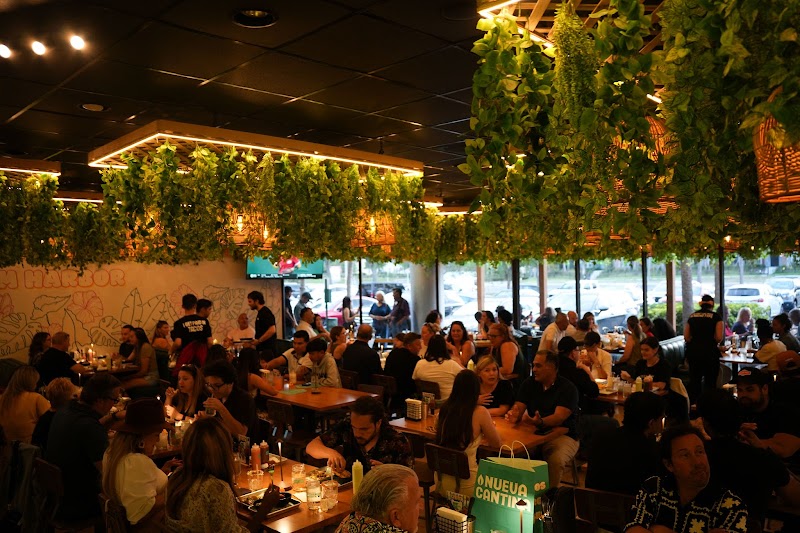 Nueva Cantina - Palm Harbor photo 5