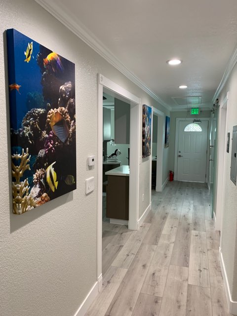 Phamily pediatric dentistry Pham Hung DDS photo 4
