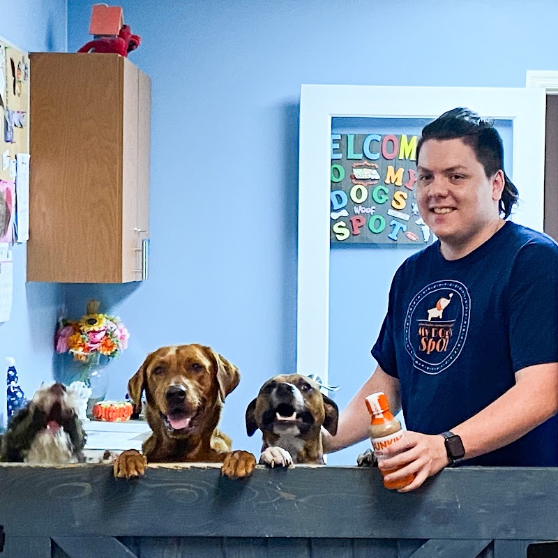 Palm Harbor Animal Hospital photo 5