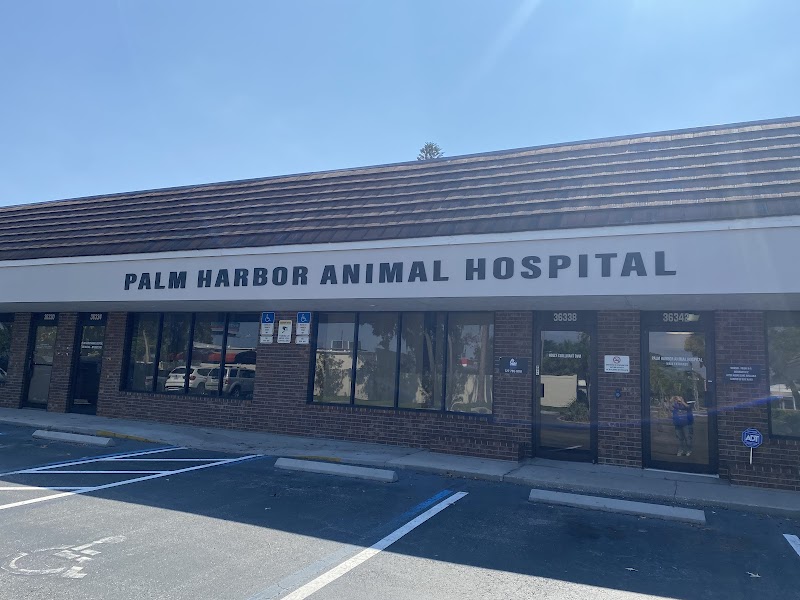 Photo of Palm Harbor Animal Hospital