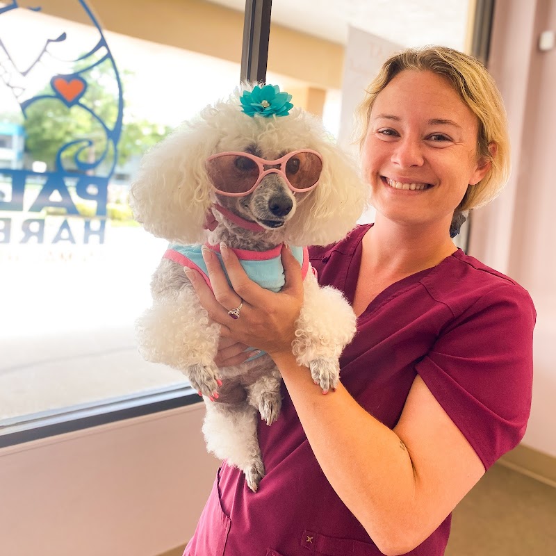 Palm Harbor Animal Hospital photo 3
