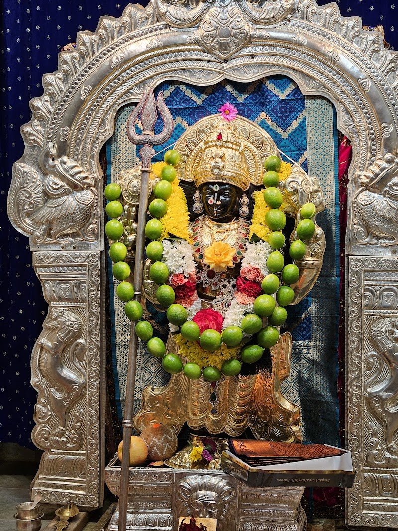 Indian Astrologer and Spiritualist photo 2