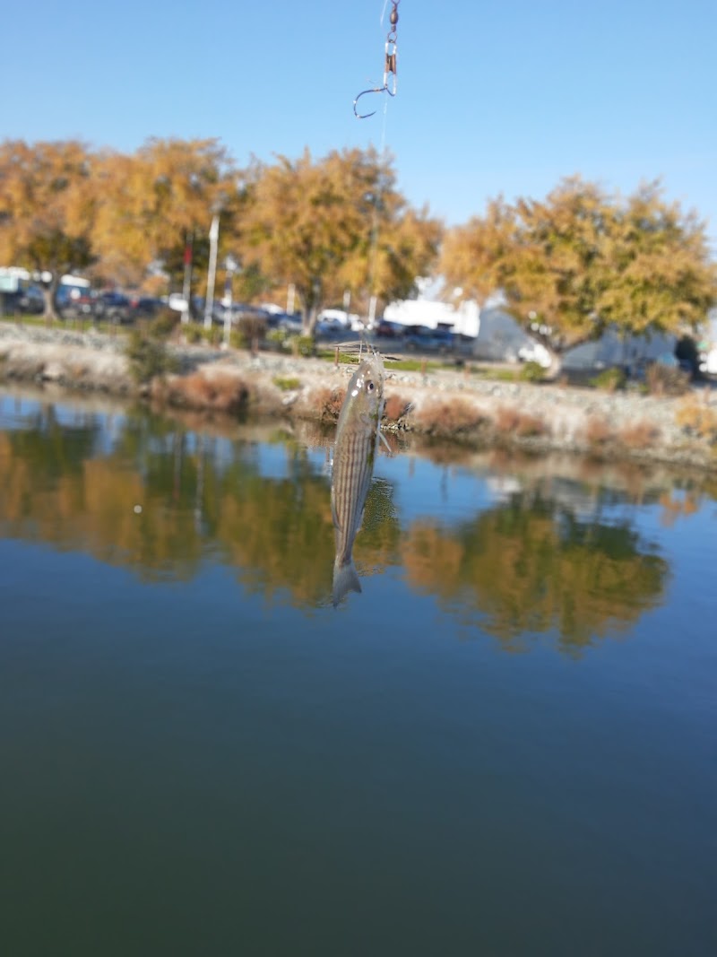 Rio Vista Fishing Pier photo 2