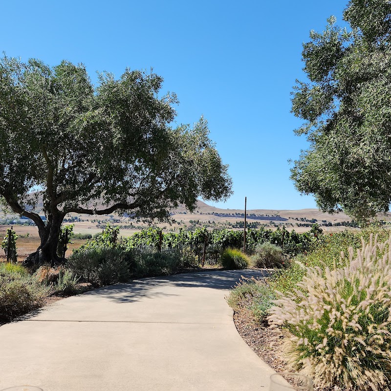Ram's Gate Winery photo 5