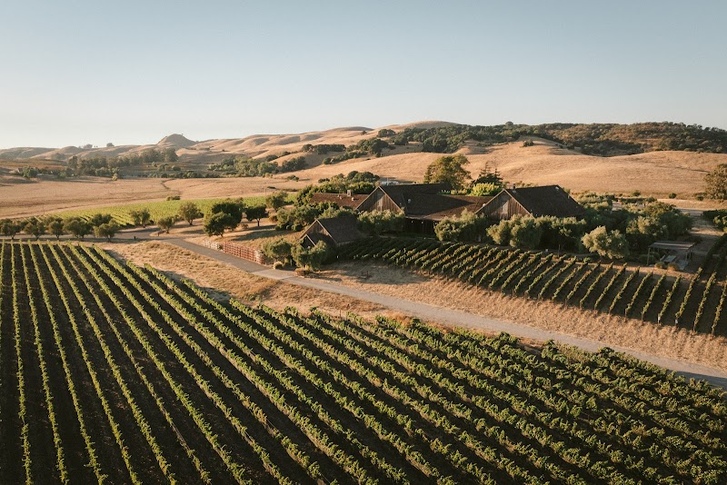 Photo of Ram's Gate Winery
