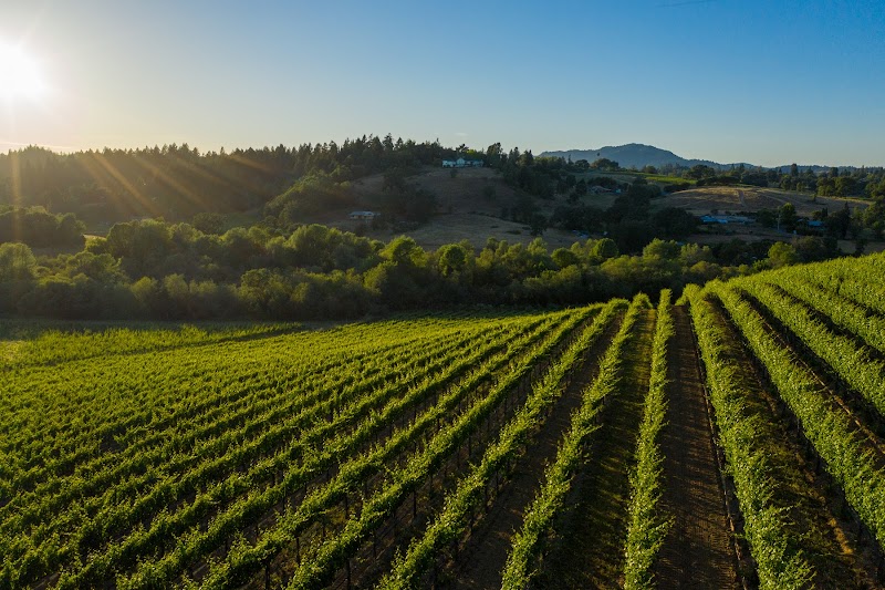 Domaine Della Winery photo 2