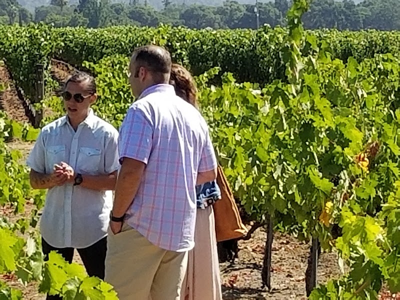 Photo of Napa Valley Chauffeur