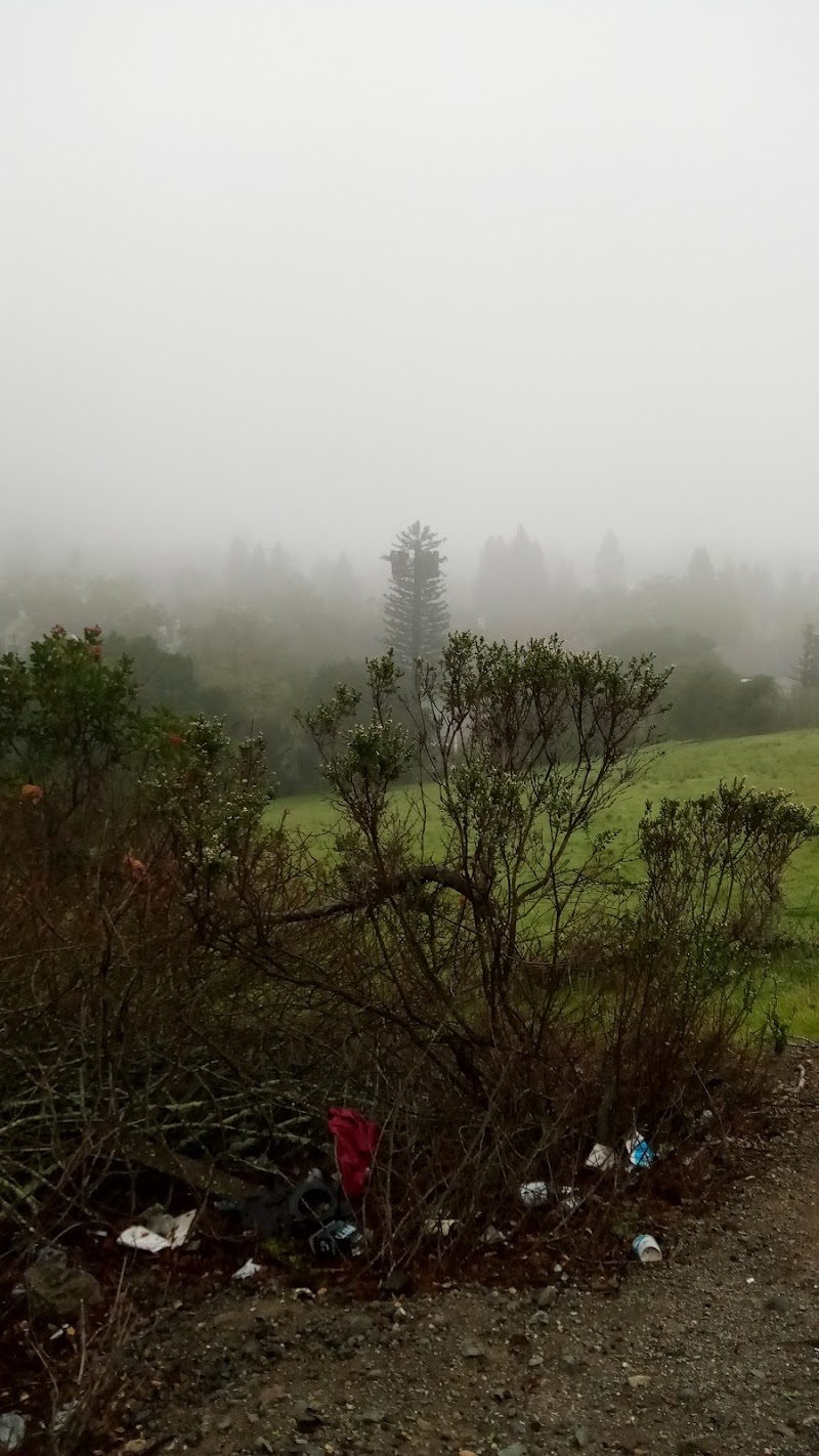 Healdsburg Hospital, Providence photo 5