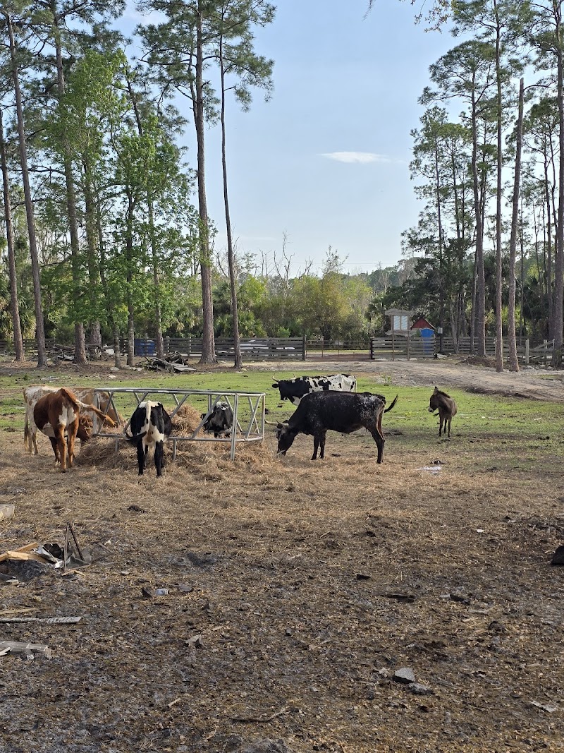 Weeki wachee farm photo 5
