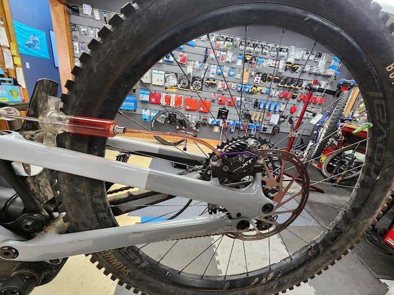 Straight Wheel Cycling photo 4