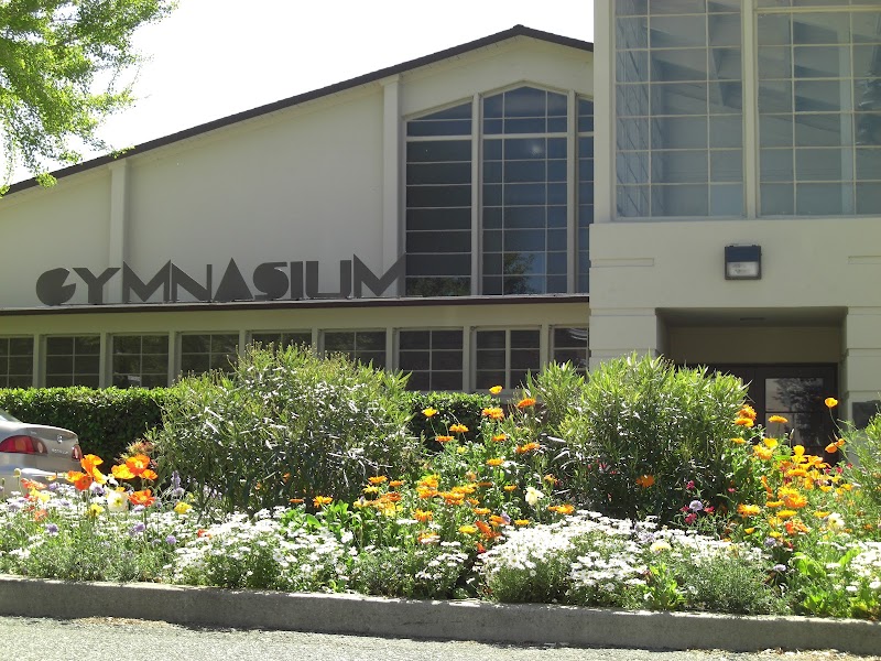 City Gym photo 3
