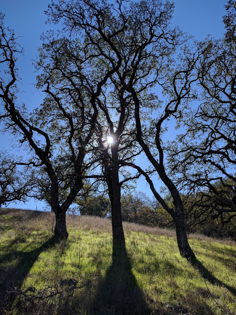 John Muir Land Trust photo 4