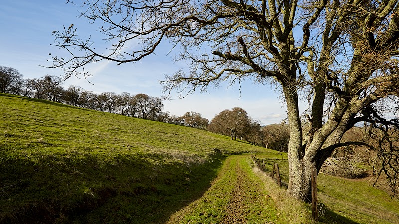 John Muir Land Trust photo 3