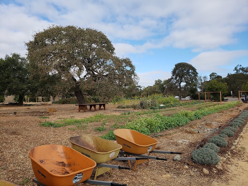 O'Donohue Family Stanford Educational Farm photo 3