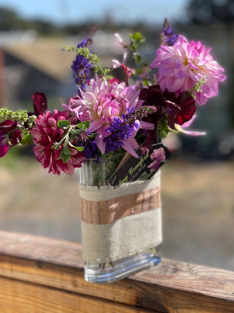 Heritage Farm Florals ~ Flower Farming Fun photo 3